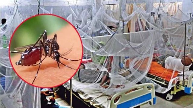 একদিনে রেকর্ড ৪২৯ জন ডেঙ্গু রোগী হাসপাতালে ভর্তি